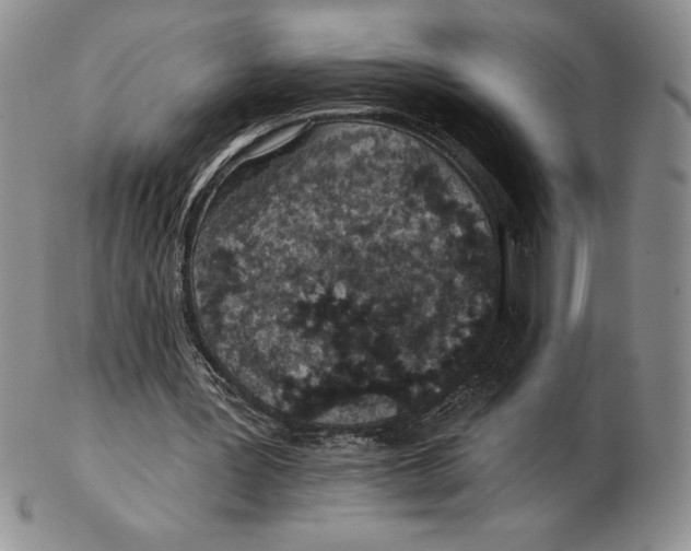 X0000102360387200808221721