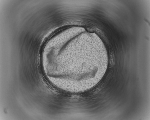 X0000102360388200808221721