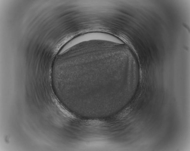 X0000102360389200808221721