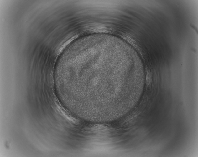 X0000102360390200808221721