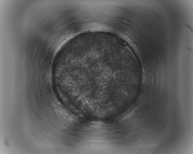 X0000102360391200808221721