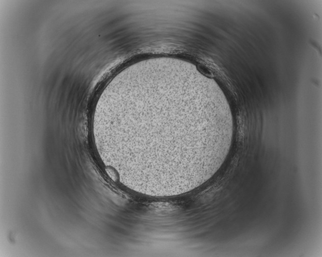 X0000102360392200808221721