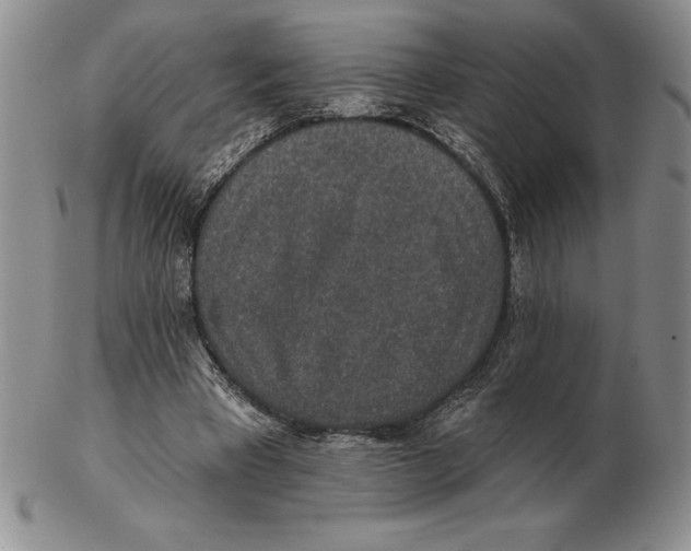 X0000102360393200808221721