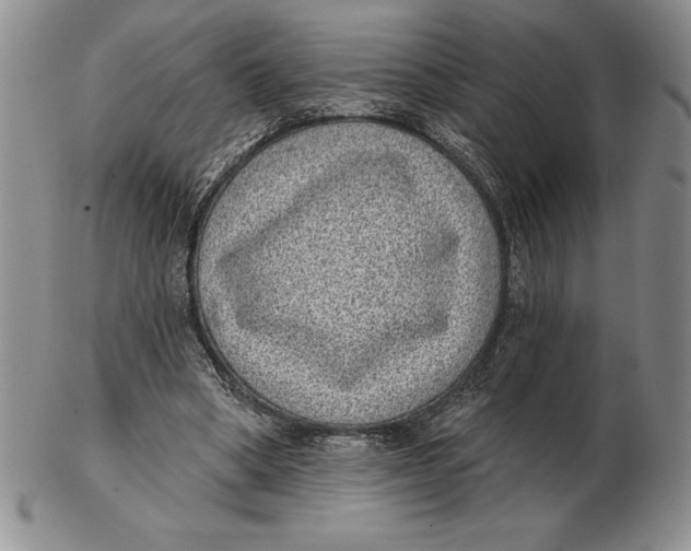 X0000102360394200808221721