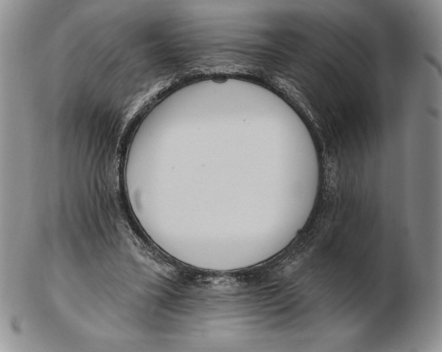 X0000102360395200808221721