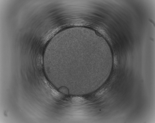 X0000102360397200808221721