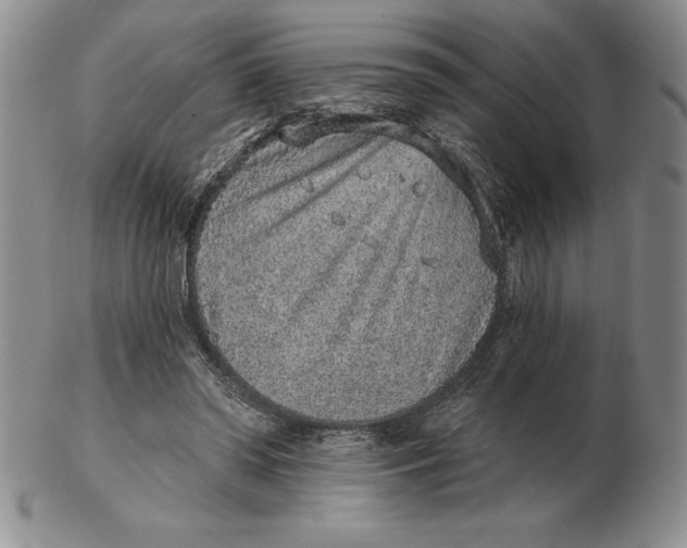 X0000102360398200808221721