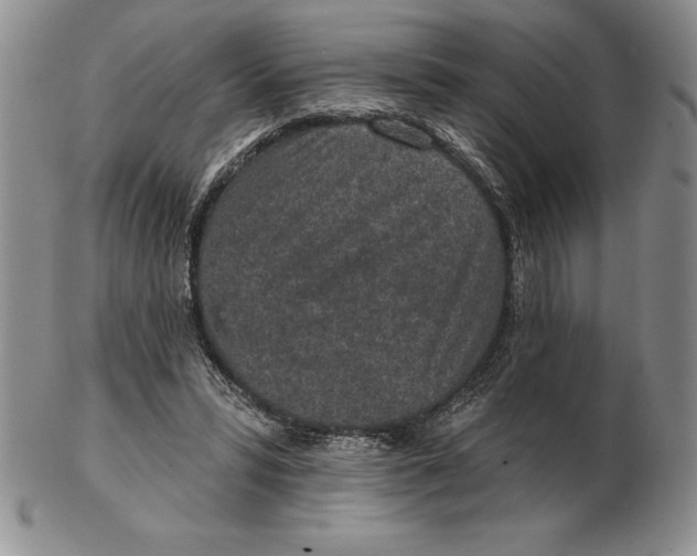 X0000102360399200808221721