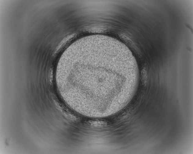 X0000102360400200808221721