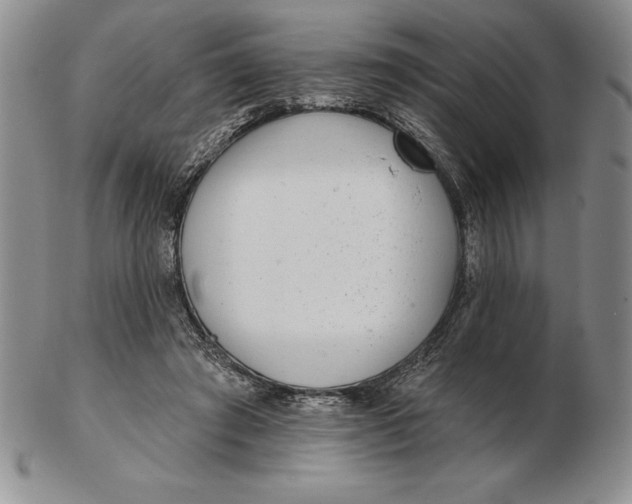 X0000102360401200808221721