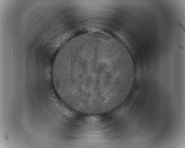 X0000102360402200808221721