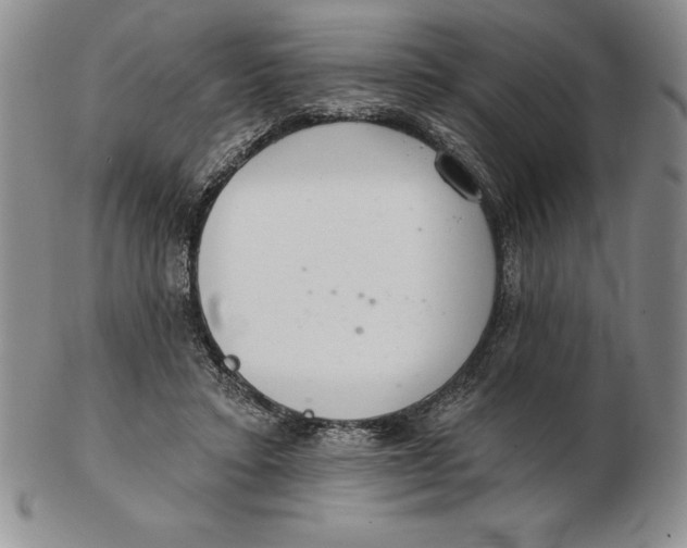 X0000102360403200808221721