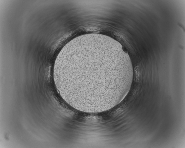 X0000102360404200808221721