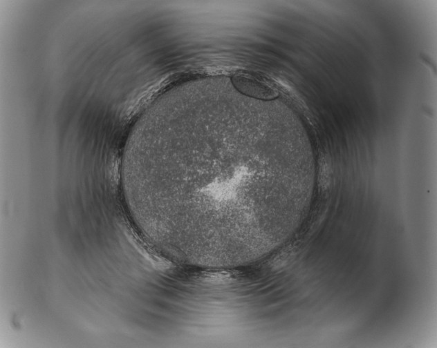 X0000102360405200808221721