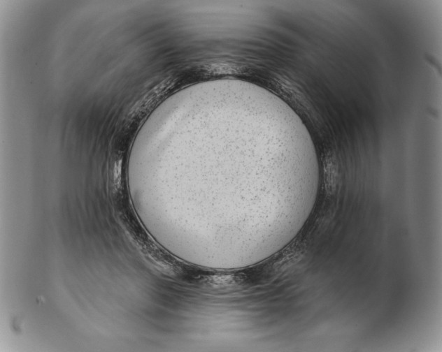 X0000102360406200808221721