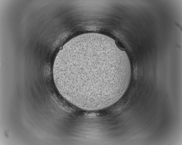 X0000102360407200808221721