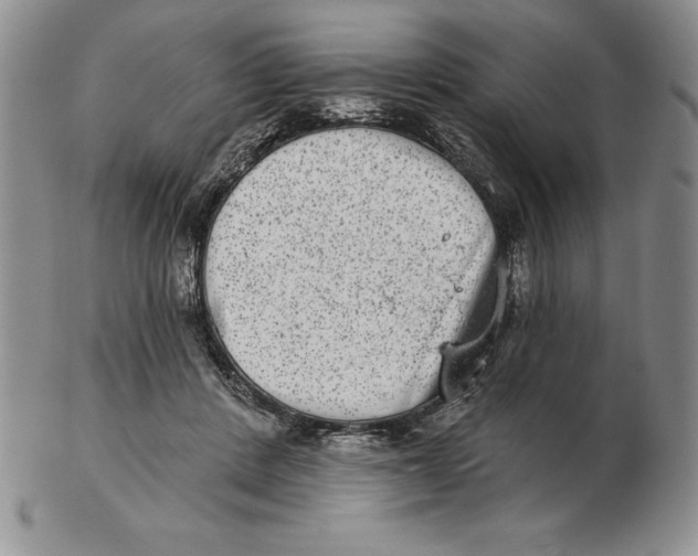 X0000102360408200808221721