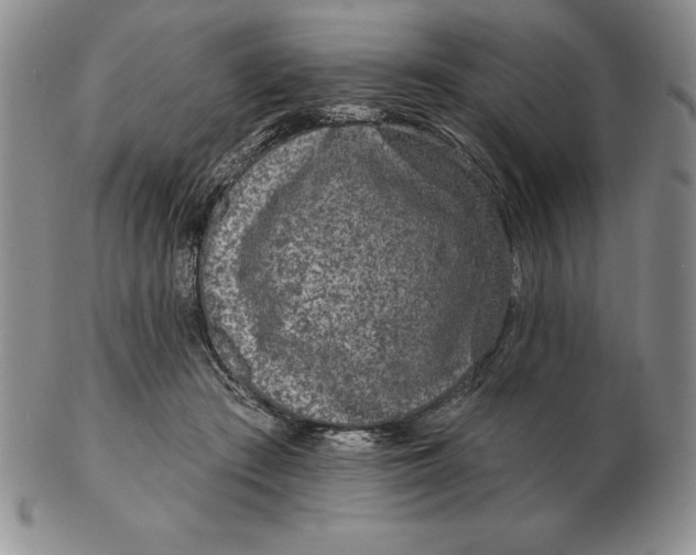 X0000102360409200808221720