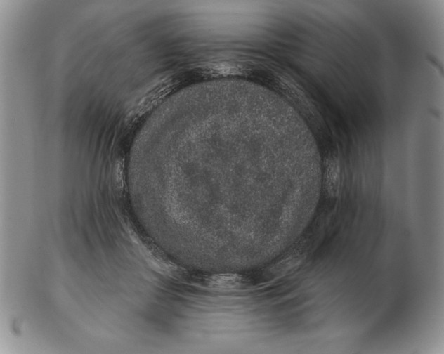 X0000102360410200808221720