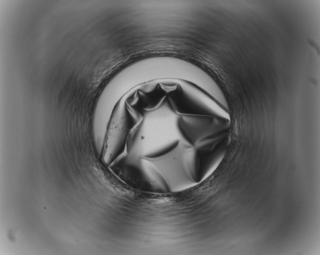 X0000102360411200808221720