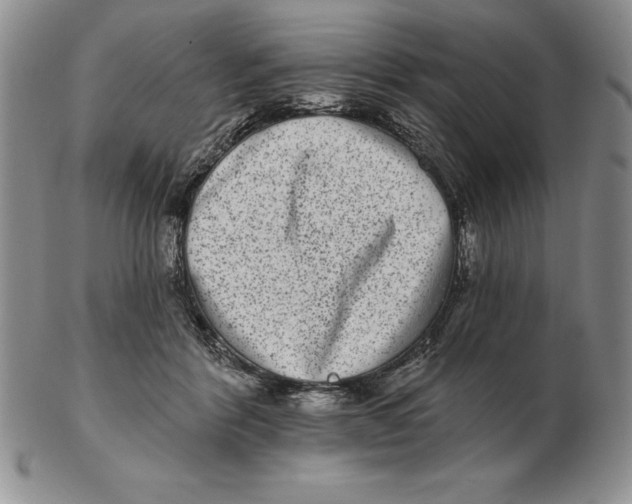 X0000102360412200808221720