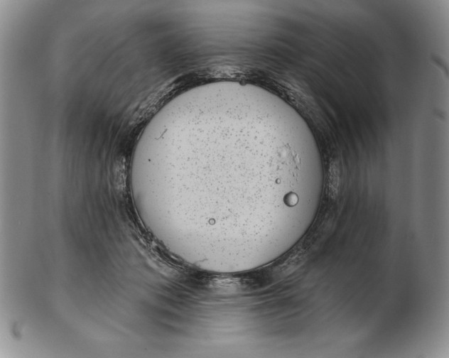 X0000102360413200808221720