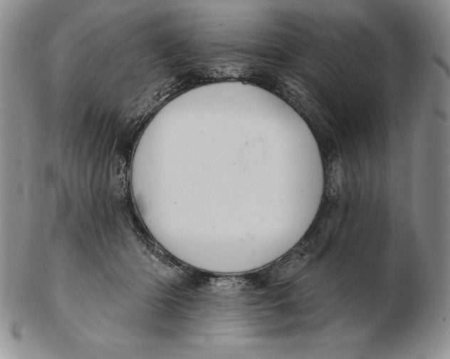 X0000102360414200808221720