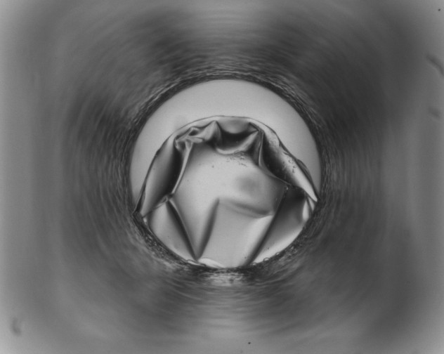 X0000102360415200808221720