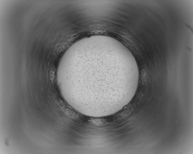 X0000102360417200808221720