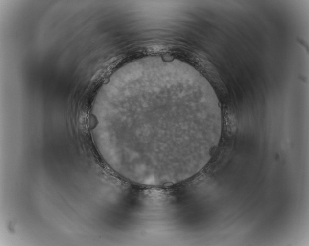 X0000102360419200808221720