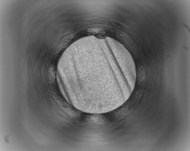 X0000102360420200808221720