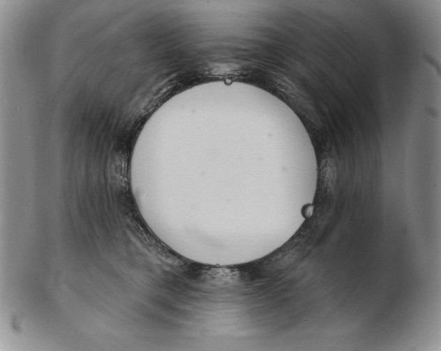 X0000102360421200808221720