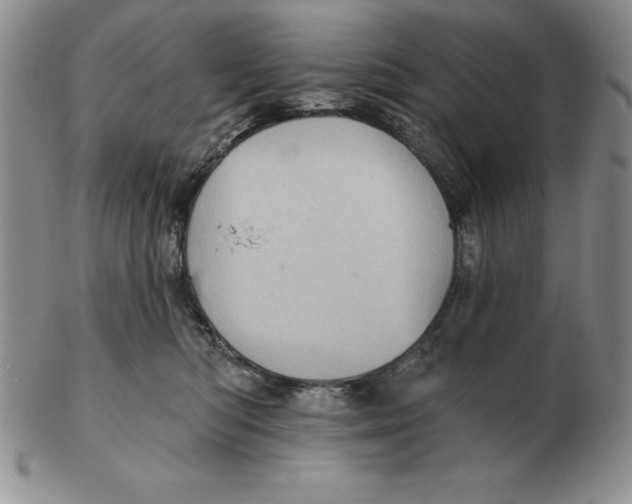 X0000102360422200808221720