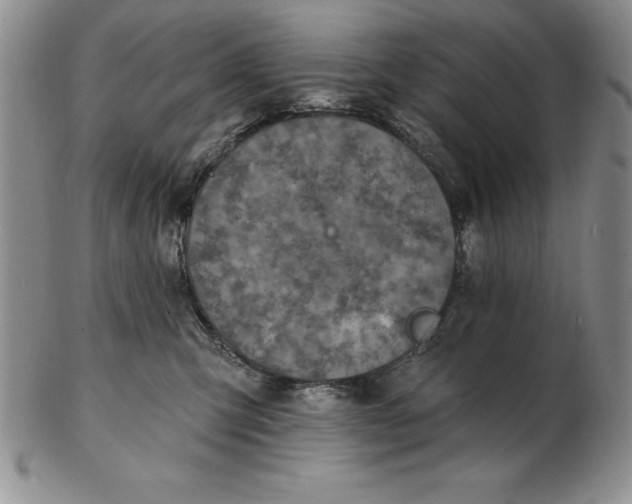 X0000102360423200808221720