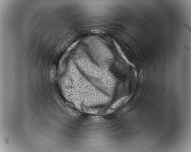 X0000102360424200808221720