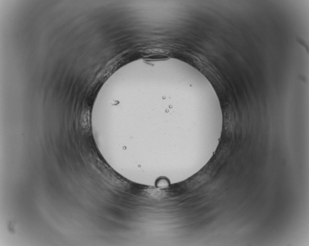 X0000102360425200808221720