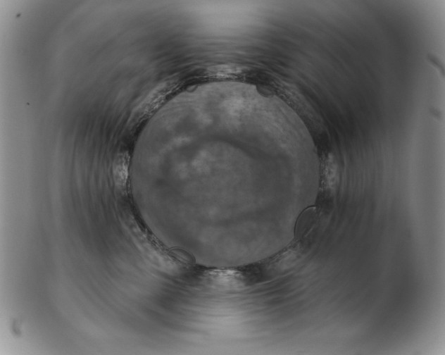 X0000102360427200808221720