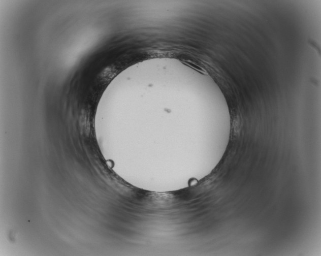 X0000102360429200808221720