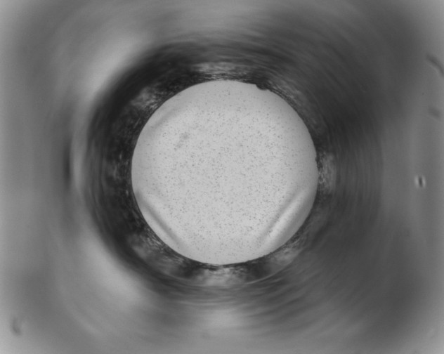 X0000102360430200808221720