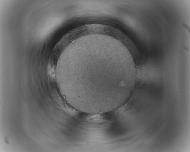 X0000102360431200808221720