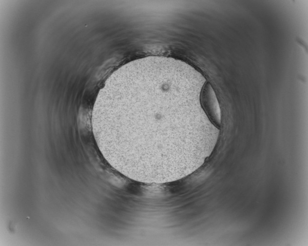 X0000102360432200808221720