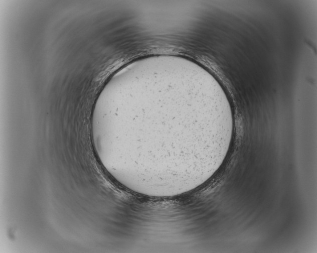 X0000102360433200808221720