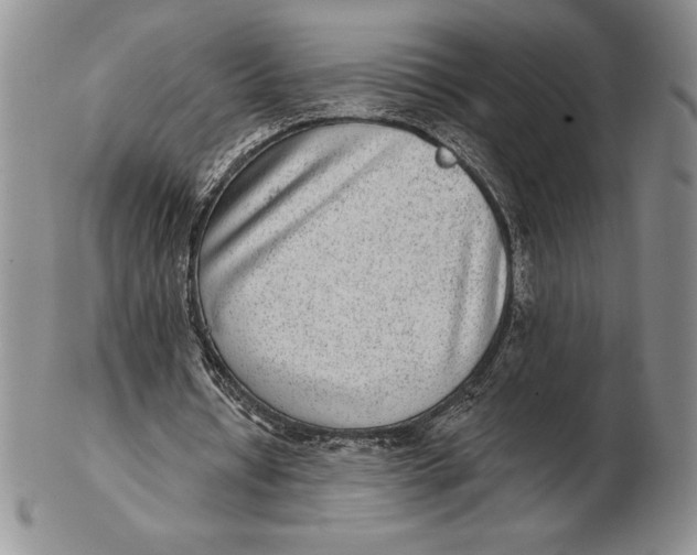 X0000102360434200808221720