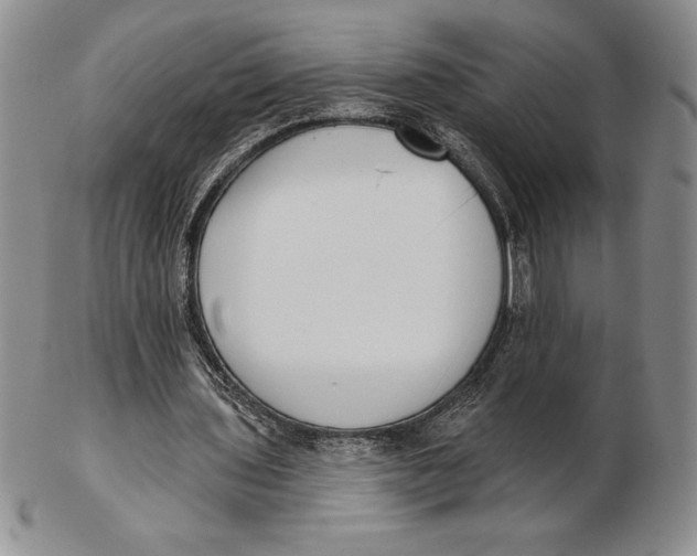 X0000102360435200808221720