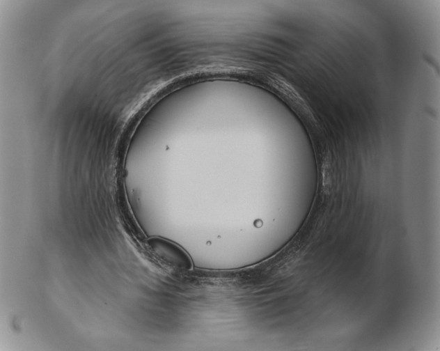 X0000102360436200808221720