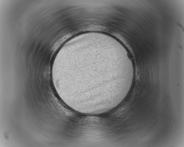 X0000102360437200808221720