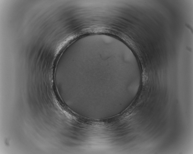 X0000102360438200808221720