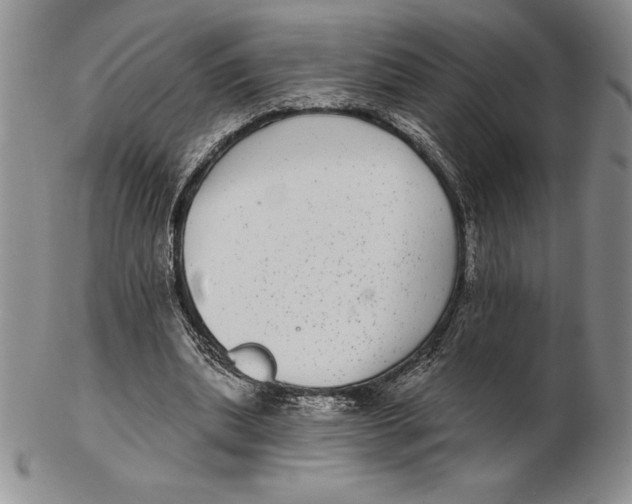 X0000102360439200808221720