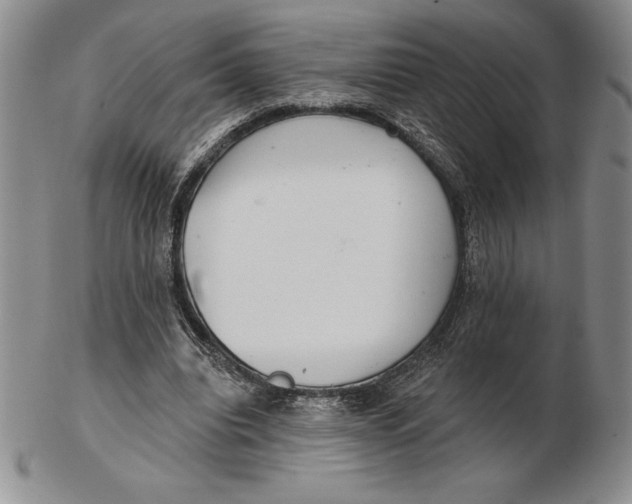 X0000102360440200808221720