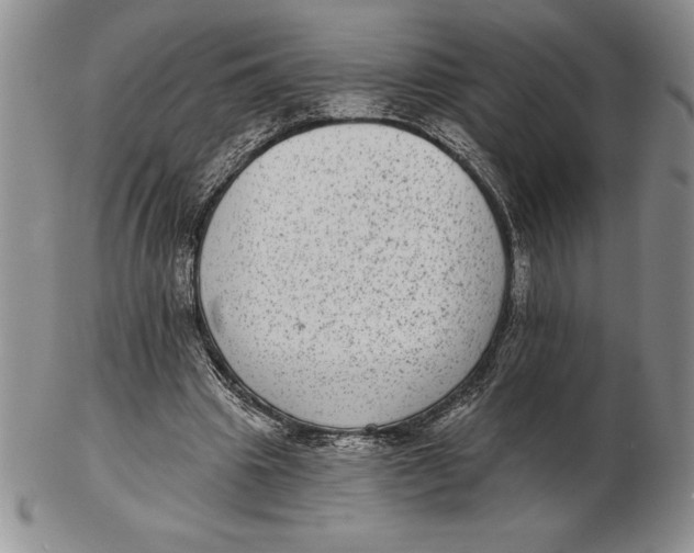 X0000102360441200808221720